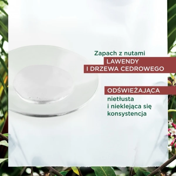 Klorane, serum przeciw wypadaniu włosów z chininą i organiczną szarotką, 100 ml