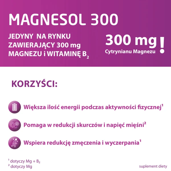Magnesol 300, 20 saszetek