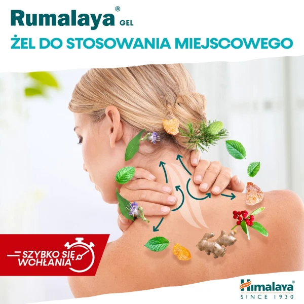 Himalaya Rumalaya żel kojący, 50 g