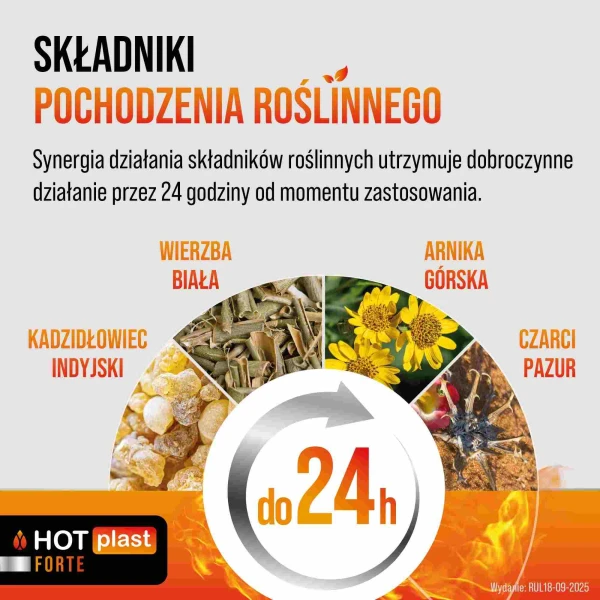 Hot Plast Forte, plaster rozgrzewający, rozmiar XL, 12 cm x 18 cm, 1 sztuka