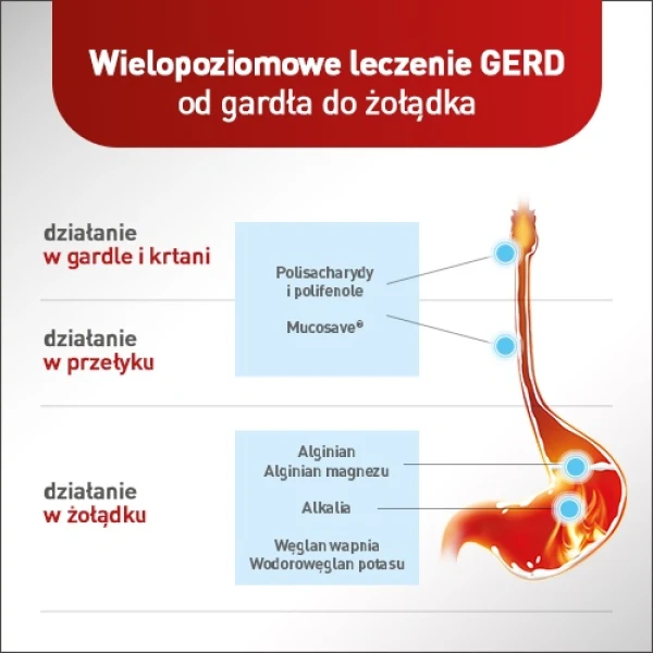 Mucoref Alugastrin, 15 ml x 14 saszetek