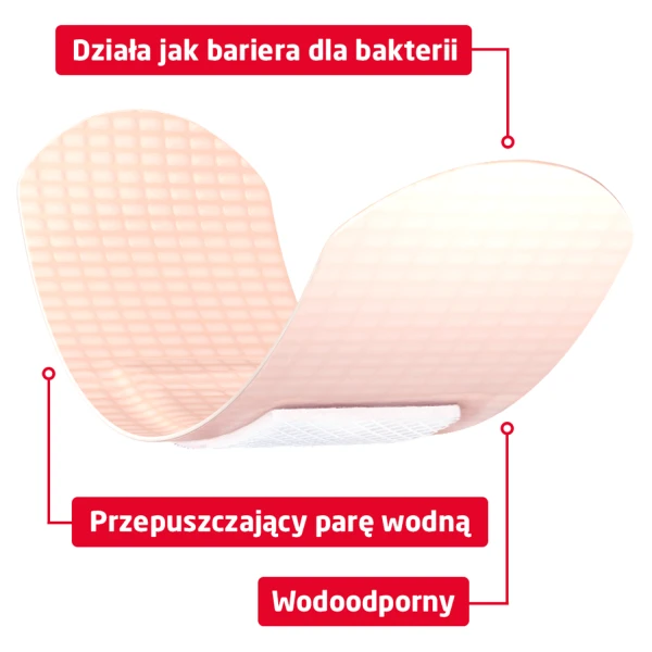 Leukoplast Barrier, plastry z opatrunkiem, 3 rozmiary, 20 sztuk