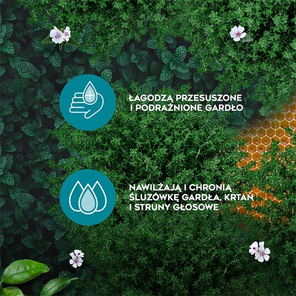 AMOLowe na Gardło, ziołowe pastylki do ssania z miodem i witaminą C, 16 pastylek do ssania