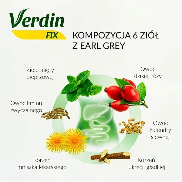 verdin-fix-z-zielona-herbata-20-saszetek
