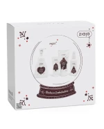 Zestaw Ziaja Śliwka w Czekoladzie, pianka do mycia, 250 ml + mgiełka do ciała, 100 ml + żel pod prysznic, 160 ml + krem do rąk, 50 ml